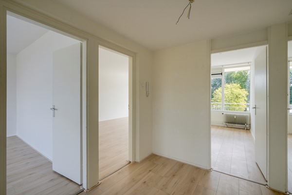 Medium property photo - Tannhäuserdreef, 3561 HV Utrecht